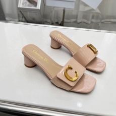 Christian Dior Slippers